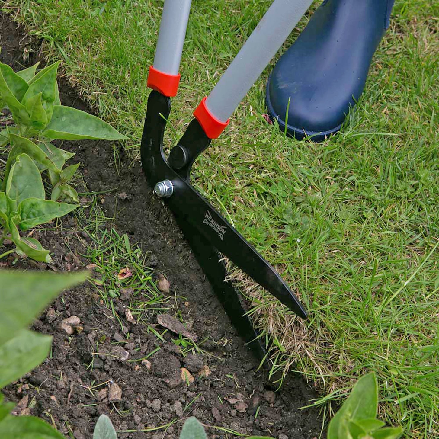 Summer Garden Maintenance Tips to Keep Your Outdoor Space Blooming Into Autumn