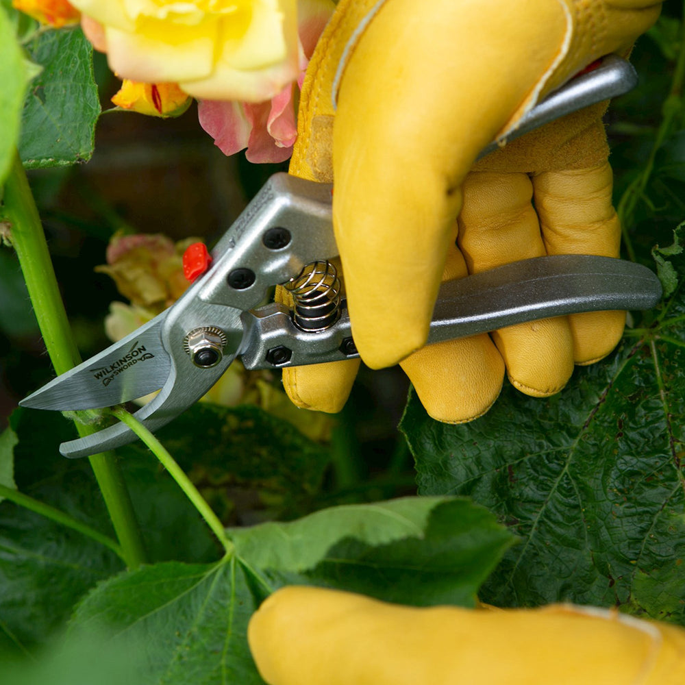 The Reason Your Secateurs Are Making Gardening Harder Than It Needs to Be
