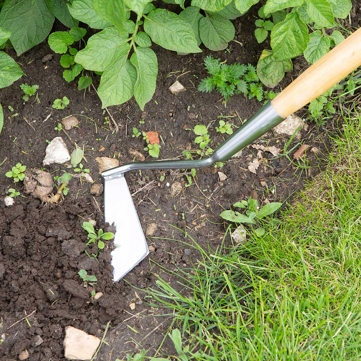 Stainless Steel Swoe Style Hoe