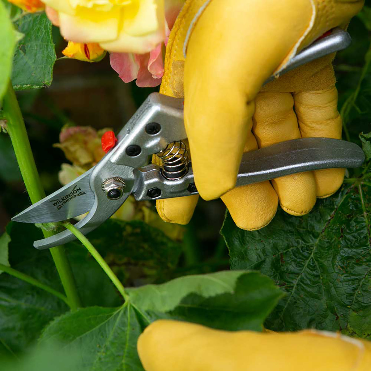 Razorcut Comfort Medium Bypass Pruner