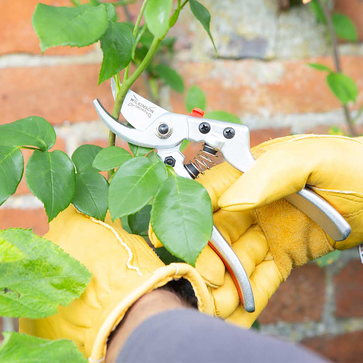 Razorcut Comfort Large Bypass Pruner