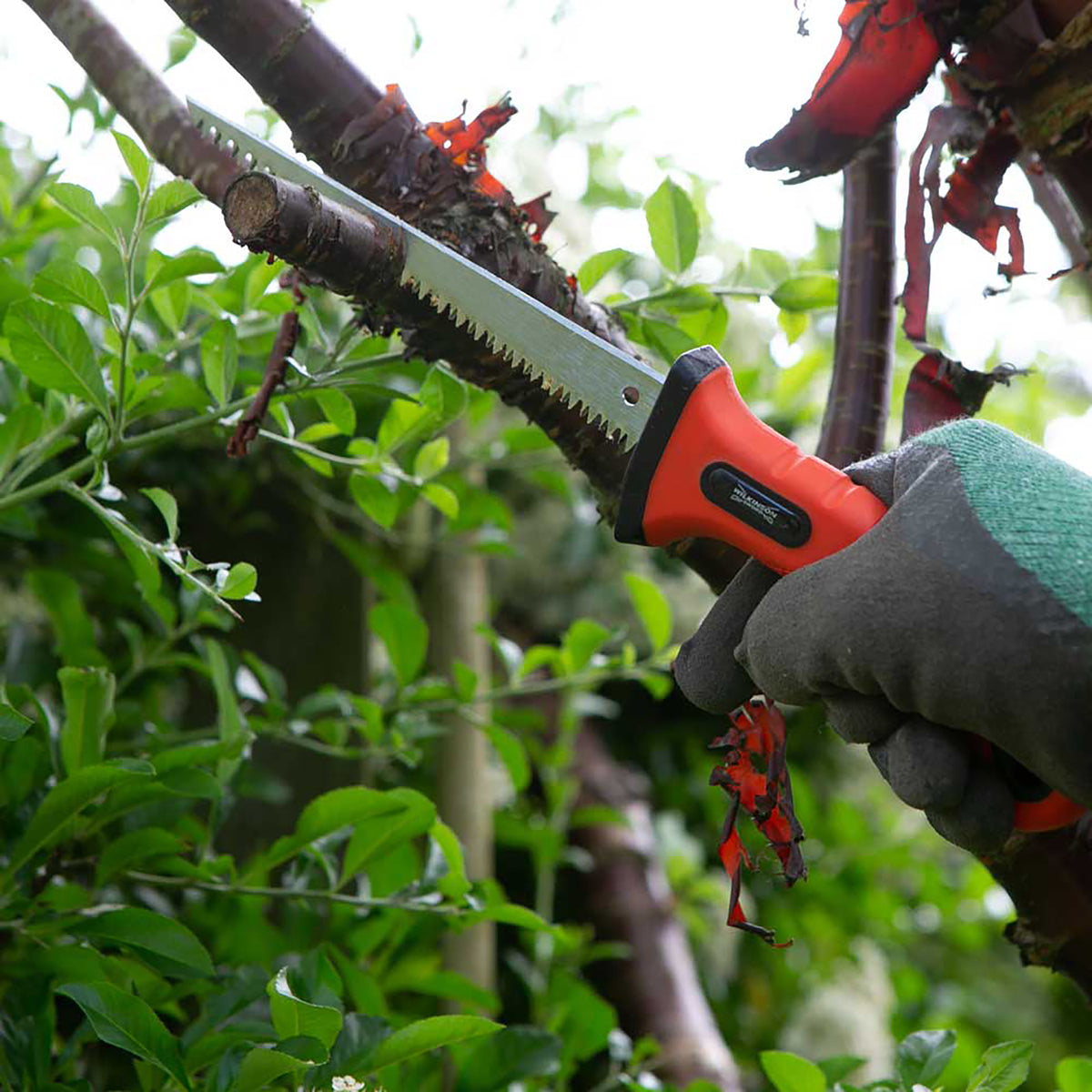 Mini Pruning Saw & Holster