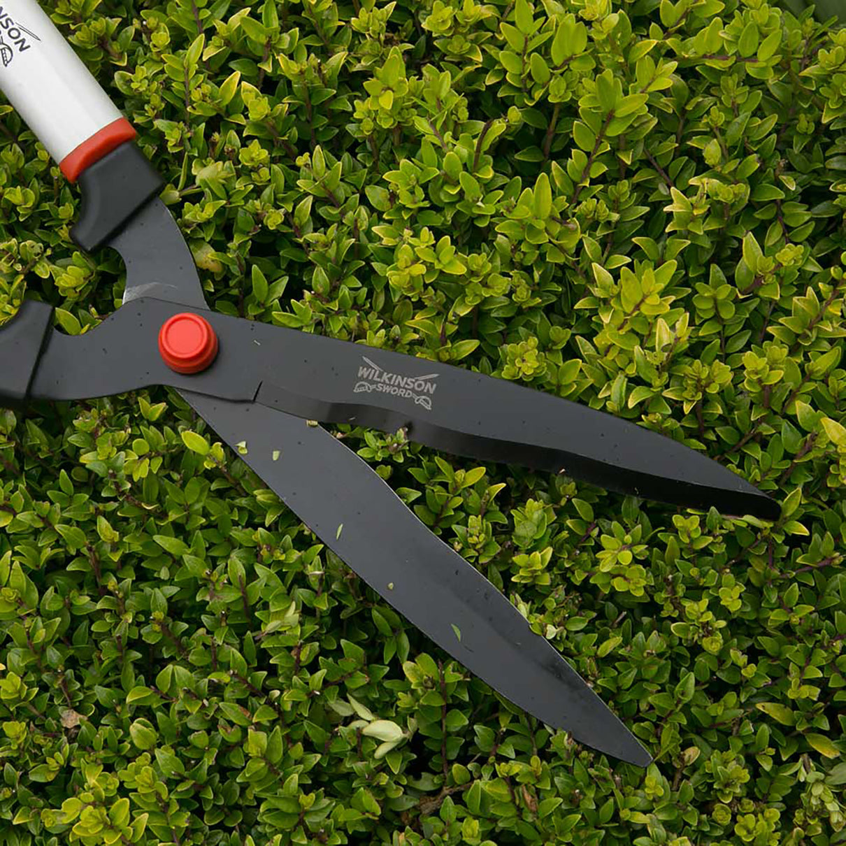 Wavy Blade Hedge Shears