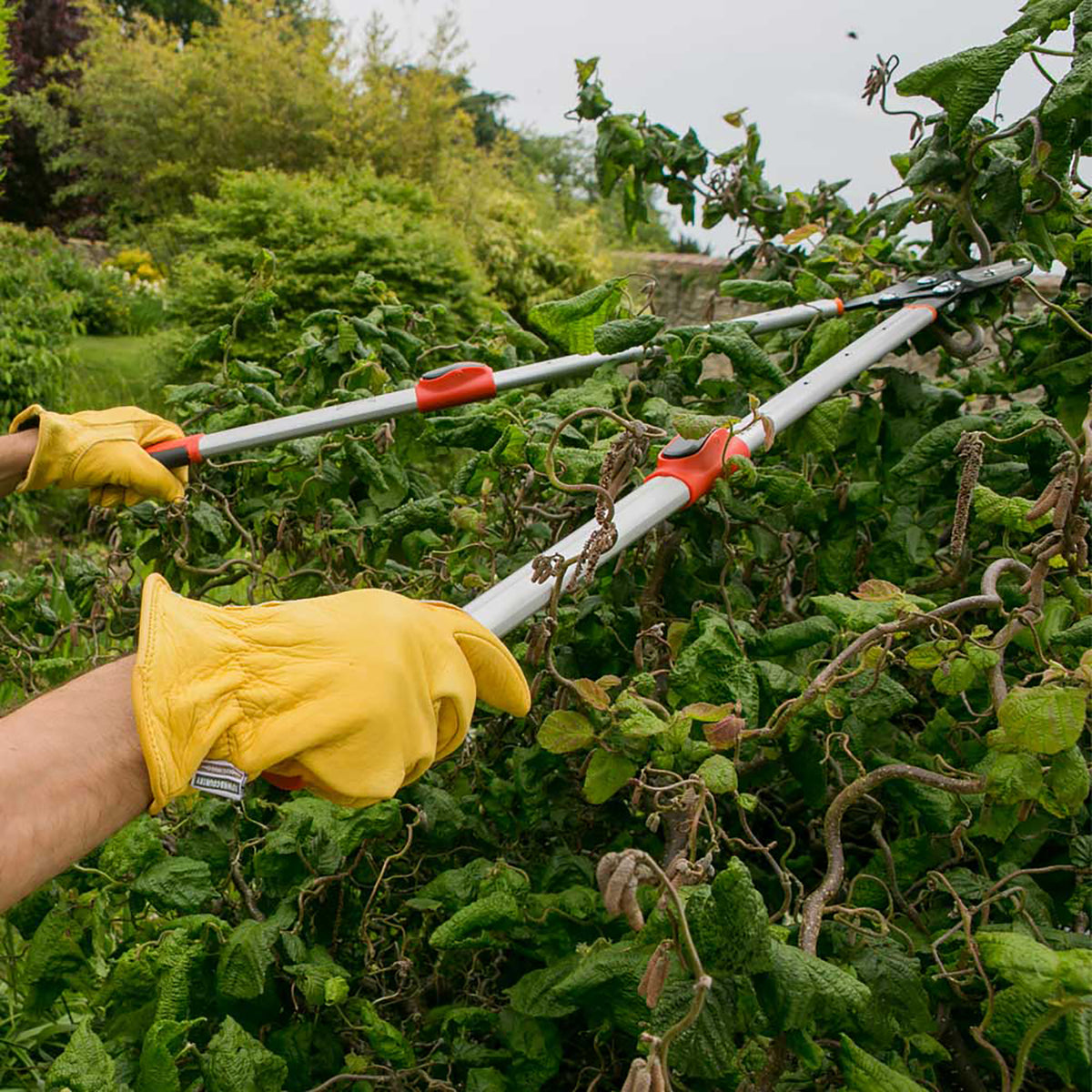 Telescopic Anvil Loppers