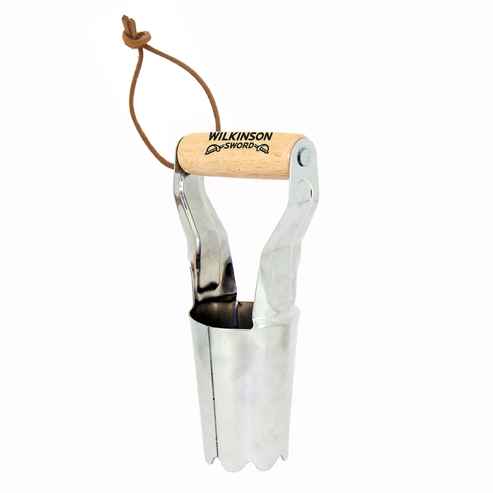 Stainless Steel Bulb Planter